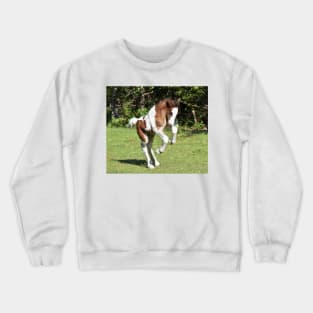 Nomad Crewneck Sweatshirt